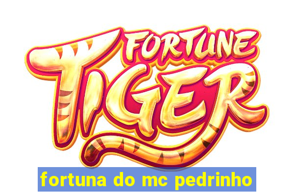 fortuna do mc pedrinho