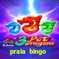 praia bingo dinheiro infinito 2022